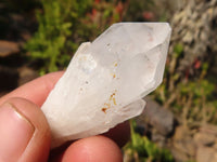 Natural Small Sugar Quartz Crystals  x 70 From Madagascar