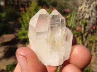 Natural Small Sugar Quartz Crystals  x 70 From Madagascar