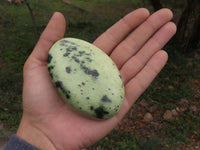 Polished Leopard Stone Free Forms  x 5 From Zimbabwe - TopRock