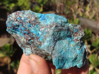 Natural Rough Shattuckite Cobbed Specimens x 12 From Namibia