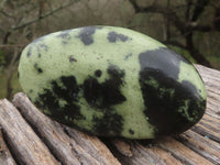 Polished Leopard Stone Free Forms  x 5 From Zimbabwe - TopRock