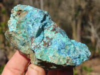 Natural Rough Shattuckite Cobbed Specimens x 12 From Namibia