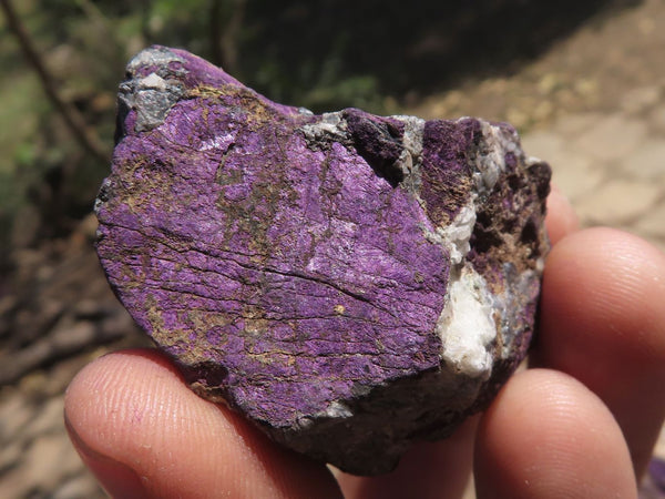 Natural Rough Purpurite Cobbed Specimens  x 12 From Namibia - TopRock