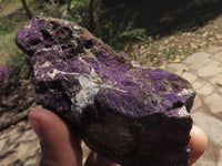 Natural Rough Purpurite Cobbed Specimens  x 12 From Namibia - TopRock