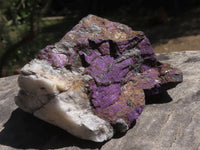 Natural Rough Purpurite Cobbed Specimens  x 12 From Namibia - TopRock