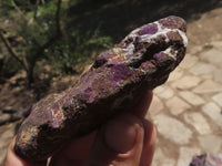 Natural Rough Purpurite Cobbed Specimens  x 12 From Namibia - TopRock