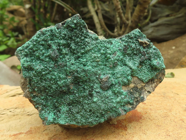 Natural Crystalline Malachite Specimens  x 6 From Tenke Fungurume, Congo - TopRock