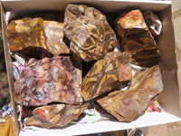 Natural Rough Nguni Jasper Cobbed Specimens  x 5 From Northern Cape, South Africa - TopRock