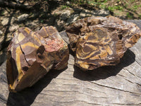 Natural Rough Nguni Jasper Cobbed Specimens  x 5 From Northern Cape, South Africa - TopRock