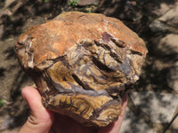 Natural Rough Nguni Jasper Cobbed Specimens  x 5 From Northern Cape, South Africa - TopRock