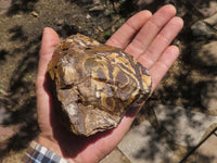 Natural Rough Nguni Jasper Cobbed Specimens  x 5 From Northern Cape, South Africa - TopRock