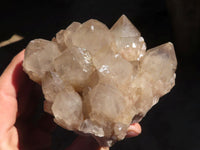 Natural Cascading Smokey Quartz Clusters x 2 From Luena, Congo