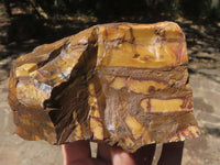 Natural Rough Nguni Jasper Cobbed Specimens  x 5 From Northern Cape, South Africa - TopRock