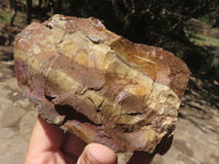 Natural Rough Nguni Jasper Cobbed Specimens  x 5 From Northern Cape, South Africa - TopRock