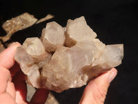 Natural Cascading Smokey Quartz Clusters x 2 From Luena, Congo