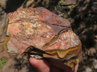 Natural Rough Nguni Jasper Cobbed Specimens  x 5 From Northern Cape, South Africa - TopRock