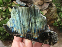 Polished One Side Polished Labradorite Slabs  x 6 From Madagascar - TopRock