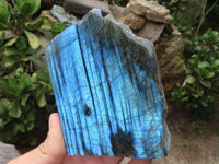 Polished One Side Polished Labradorite Slabs  x 6 From Madagascar - TopRock