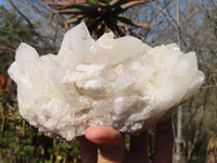 Natural White Phantom Quartz Specimens  x 2 From Madagascar