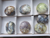 Polished White Dendritic Opal Palm Stones  x 7 From Madagascar - TopRock