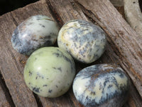 Polished White Dendritic Opal Palm Stones  x 7 From Madagascar - TopRock