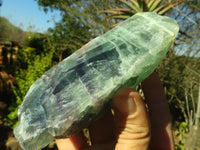 Polished  One Side Polished Watermelon Fluorite Pieces  x 3 From Uis, Namibia