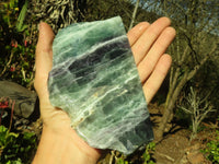 Polished  One Side Polished Watermelon Fluorite Pieces  x 3 From Uis, Namibia