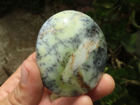 Polished White Dendritic Opal Palm Stones  x 7 From Madagascar - TopRock