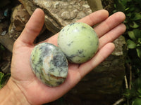 Polished White Dendritic Opal Palm Stones  x 7 From Madagascar - TopRock