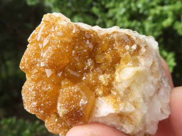 Natural Golden Lemonite / Limonite Quartz Clusters  x 24 From Zambia - TopRock