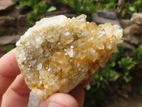 Natural Golden Lemonite / Limonite Quartz Clusters  x 24 From Zambia - TopRock