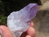 Natural Single Jacaranda Amethyst Crystals  x 12 From Mumbwa, Zambia - Toprock Gemstones and Minerals 