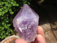 Natural Single Jacaranda Amethyst Crystals  x 12 From Mumbwa, Zambia - Toprock Gemstones and Minerals 