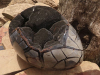 Polished Septerye Sauvage "Dragons Egg" Geode  x 1 From Mahajanga, Madagascar - TopRock