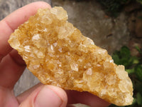 Natural Golden Lemonite / Limonite Quartz Clusters  x 24 From Zambia - TopRock