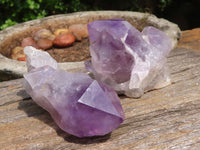 Natural Single Jacaranda Amethyst Crystals  x 12 From Mumbwa, Zambia - Toprock Gemstones and Minerals 