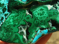 Polished Malacholla (Malachite & Chrysocolla) Free Forms  x 4 From Congo