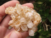 Natural Golden Lemonite / Limonite Quartz Clusters  x 24 From Zambia - TopRock