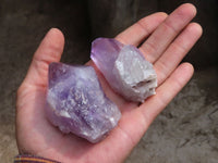 Natural Single Jacaranda Amethyst Crystals  x 12 From Mumbwa, Zambia - Toprock Gemstones and Minerals 