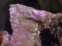 Natural Metallic Purpurite Cobbed Specimens x 5 From Erongo, Namibia