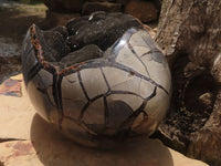 Polished Septerye Sauvage "Dragons Egg" Geode  x 1 From Mahajanga, Madagascar - TopRock