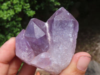 Natural Single Jacaranda Amethyst Crystals  x 12 From Mumbwa, Zambia - Toprock Gemstones and Minerals 