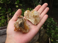 Natural Golden Lemonite / Limonite Quartz Clusters  x 24 From Zambia - TopRock