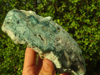 Polished One Side Polished Emerald Mtorolite Plates  x 2 From Mutorashanga, Zimbabwe - Toprock Gemstones and Minerals 