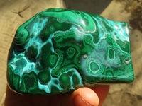 Polished Malacholla (Malachite & Chrysocolla) Free Forms  x 4 From Congo