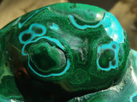 Polished Malacholla (Malachite & Chrysocolla) Free Forms  x 4 From Congo