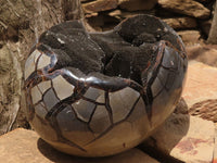 Polished Septerye Sauvage "Dragons Egg" Geode  x 1 From Mahajanga, Madagascar - TopRock