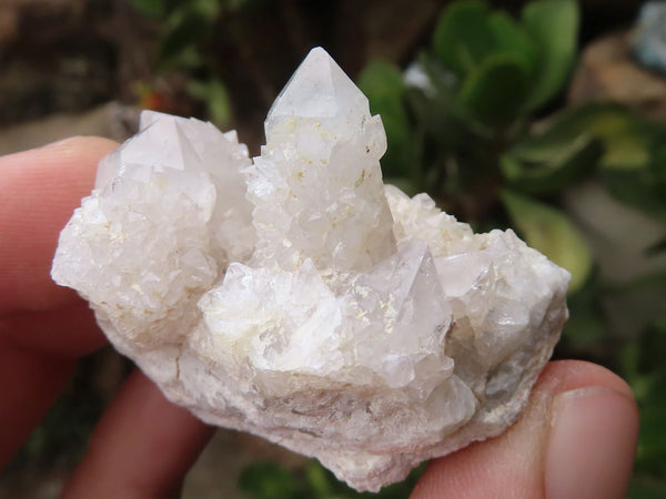 Natural Mixed Spirit Quartz Clusters  x 12 From Boekenhouthoek, South Africa - TopRock