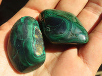 Polished  Small Flower Malachite Free Forms  x 20 From Congo