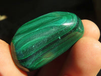 Polished  Small Flower Malachite Free Forms  x 20 From Congo